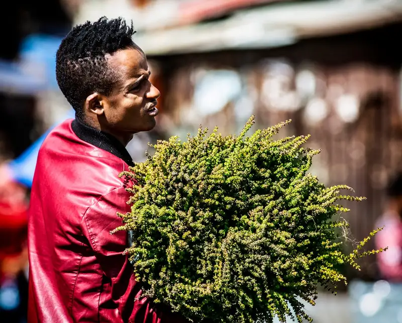 man carrying green plants