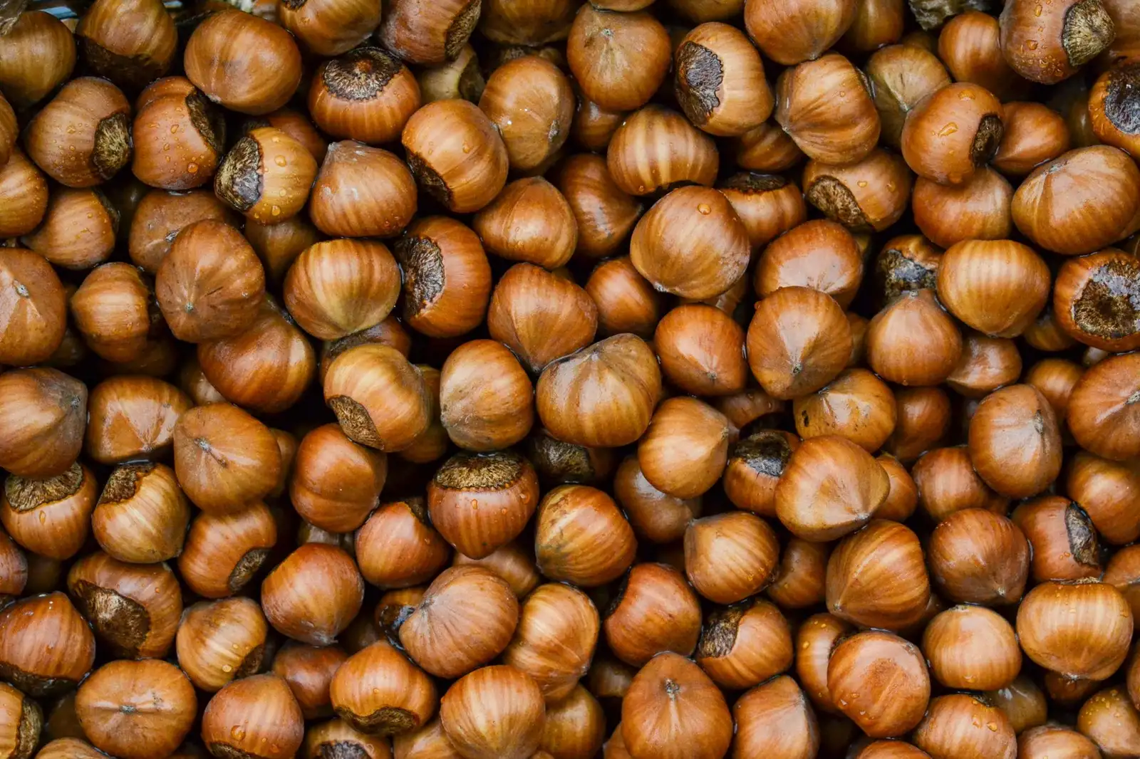 A detailed close-up image of fresh raw hazelnuts, ideal for food-related content.